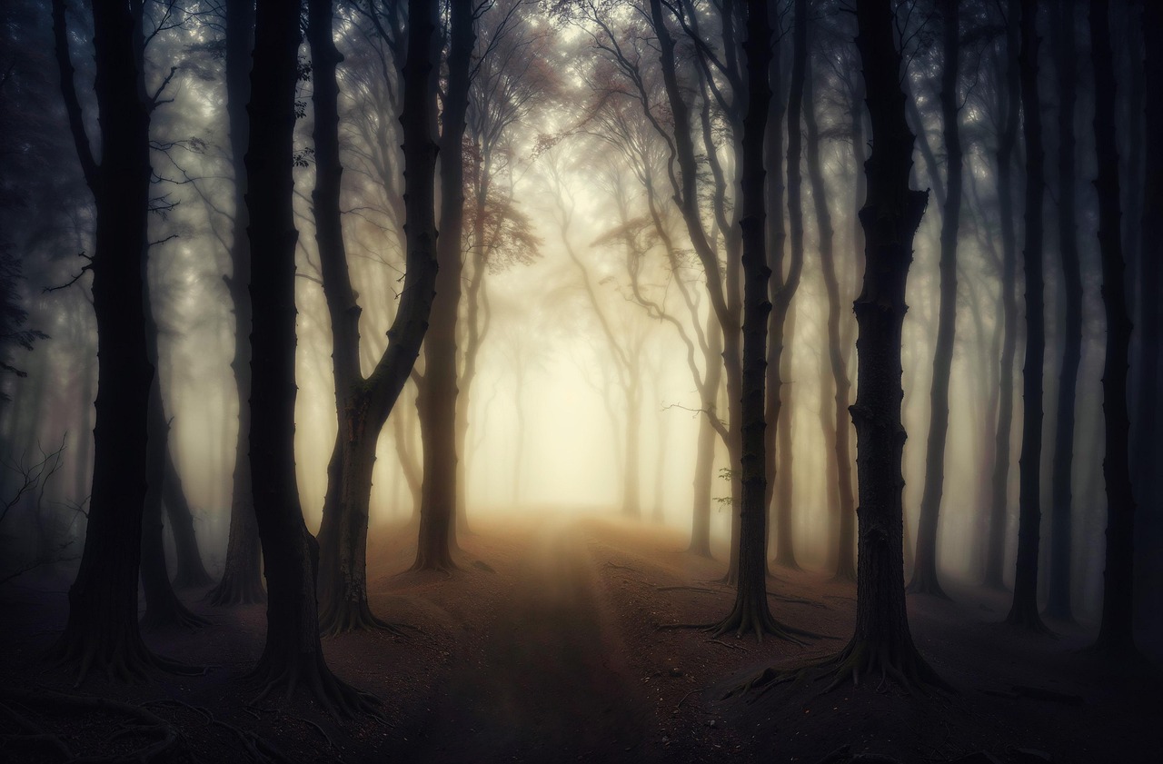 mystical, forest, fog, eerie, gnarled, roots, glow, path, otherworldly, haunting, nature, dense, unknown, misty, angst, landscape, fear